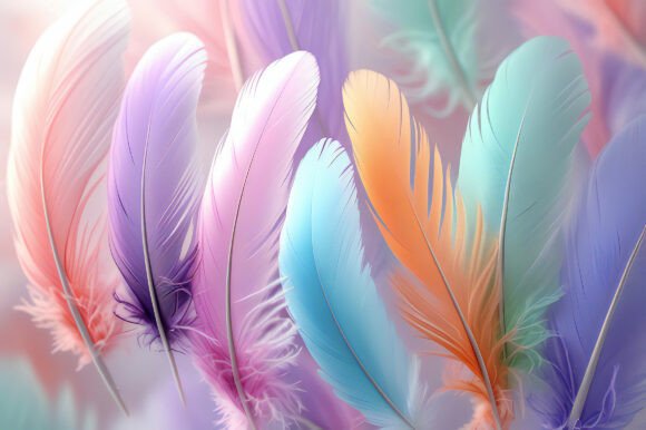 A Group of Colorful Feathers